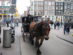 IMG_0476