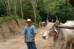 IMG_1118