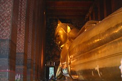 IMG_1319
