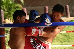IMG_1247