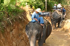 IMG_1214
