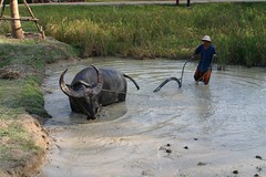 IMG_1269