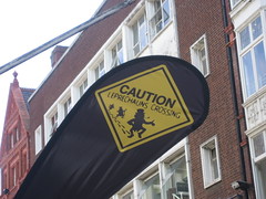 Leprechaun Crossing