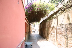 IMG_0709.JPG