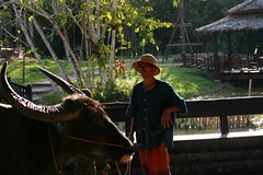 IMG_1279