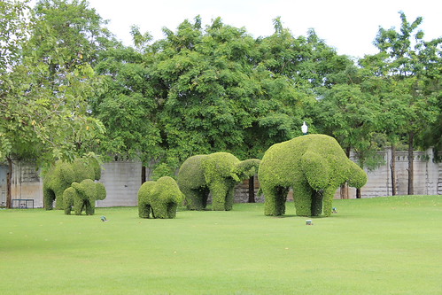 Ayutthaya Trip