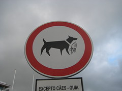 No Rocket Dogs