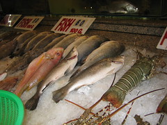 Fresh Fish